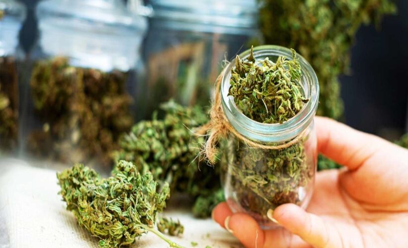 Simple Ways Patients Use Medical Cannabis to Boost Creativity